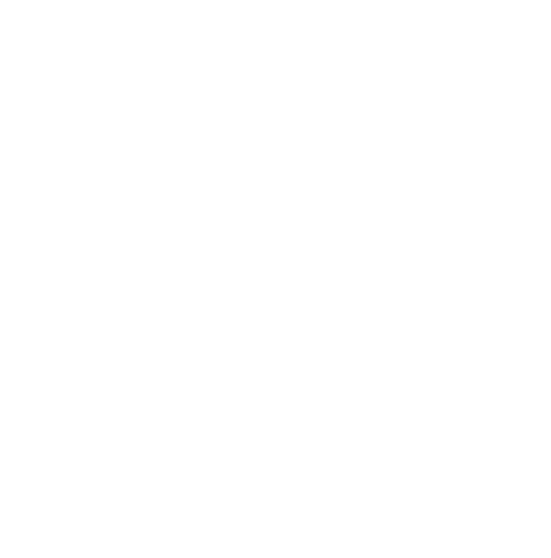 SVĚTOVÉ ZKUŠENOSTI