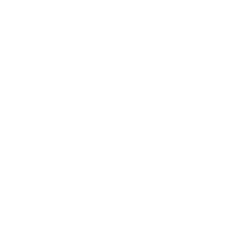 Worldwide experience